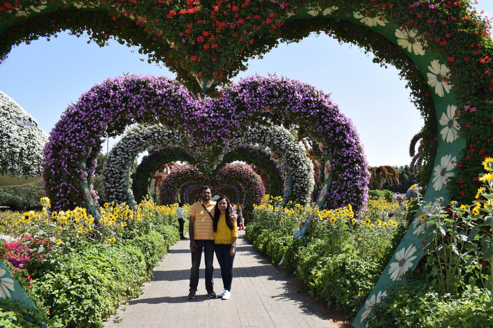 Photo of Dubai Miracle Garden - Dubai - United Arab Emirates by Shruthi