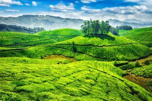 Photo of Best Places to Visit Near Bangalore this Summer - Vishumoney Blog 1/22 by Vishnu