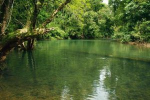 Photo of Best Places to Visit Near Bangalore this Summer - Vishumoney Blog 3/22 by Vishnu