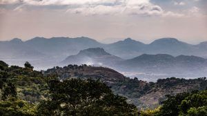 Photo of Best Places to Visit Near Bangalore this Summer - Vishumoney Blog 2/22 by Vishnu