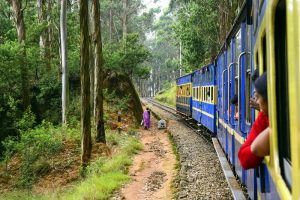 Photo of Best Places to Visit Near Bangalore this Summer - Vishumoney Blog 8/22 by Vishnu