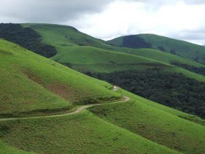 Photo of Best Places to Visit Near Bangalore this Summer - Vishumoney Blog 10/22 by Vishnu