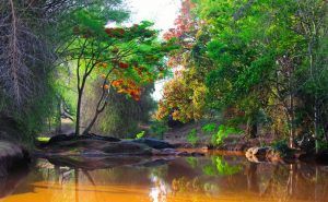 Photo of Best Places to Visit Near Bangalore this Summer - Vishumoney Blog 11/22 by Vishnu
