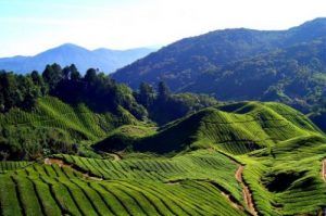 Photo of Best Places to Visit Near Bangalore this Summer - Vishumoney Blog 19/22 by Vishnu