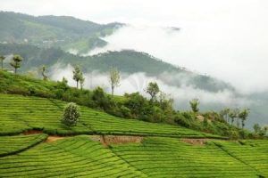 Photo of Best Places to Visit Near Bangalore this Summer - Vishumoney Blog 21/22 by Vishnu