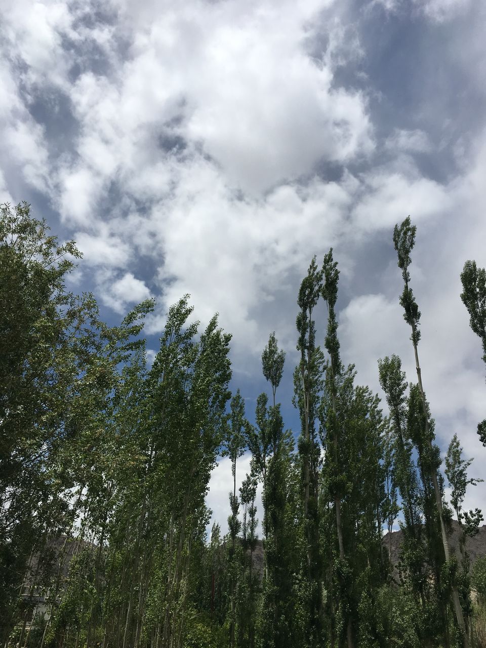 Photo of Leh by Harjashan Preet Singh