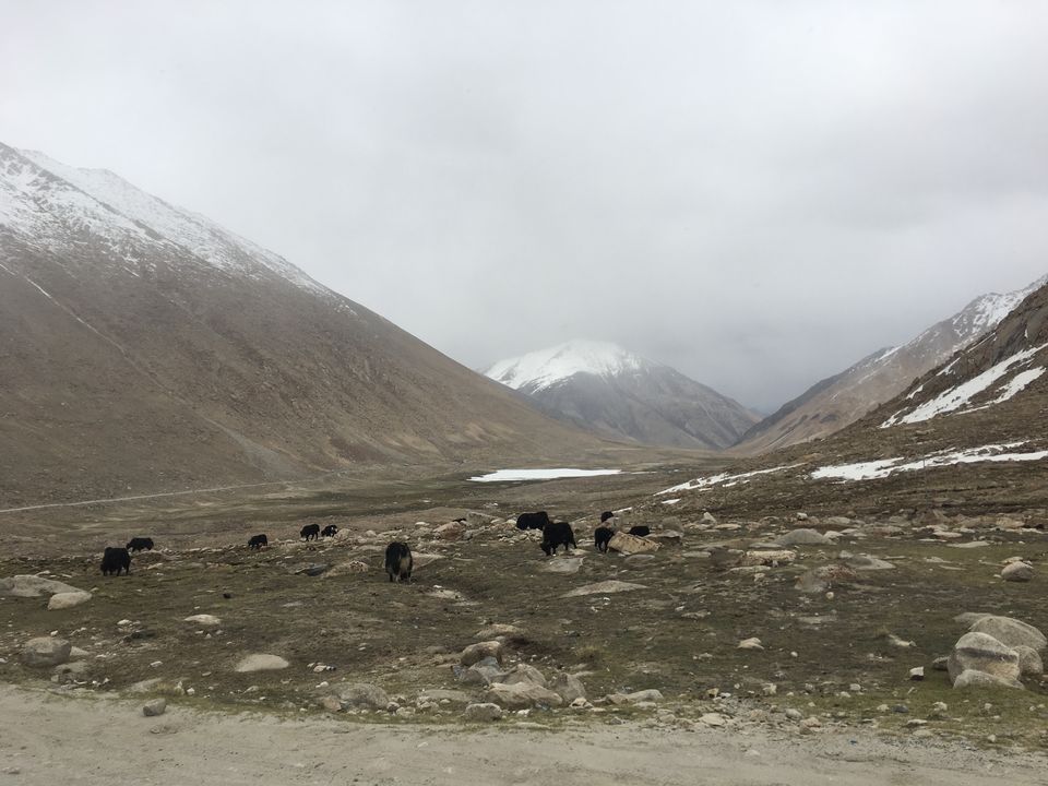 Photo of Leh by Harjashan Preet Singh