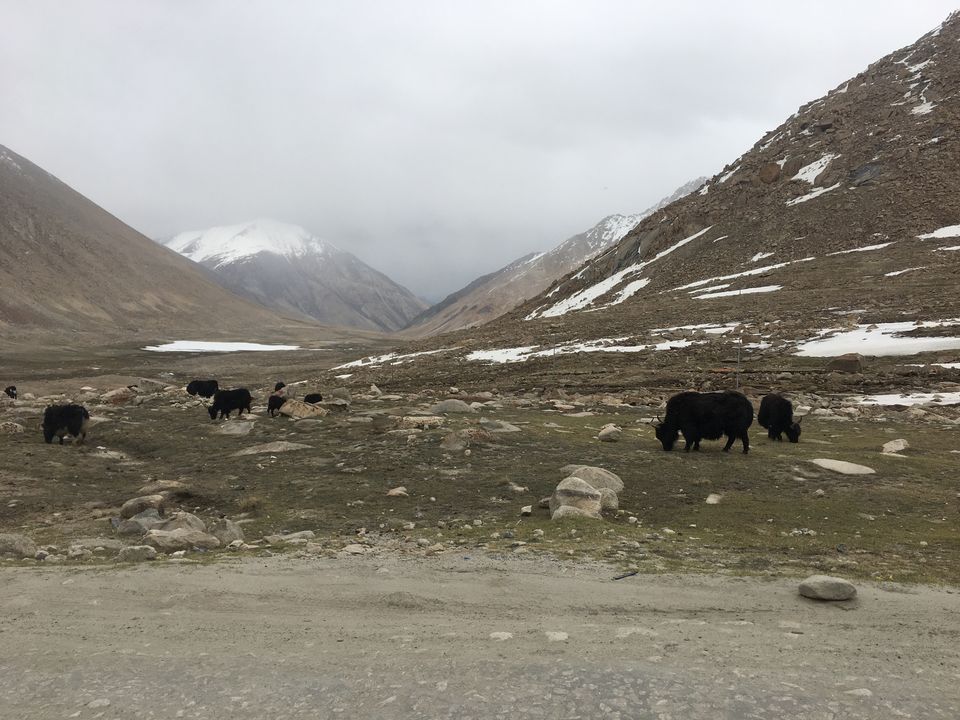 Photo of Leh by Harjashan Preet Singh