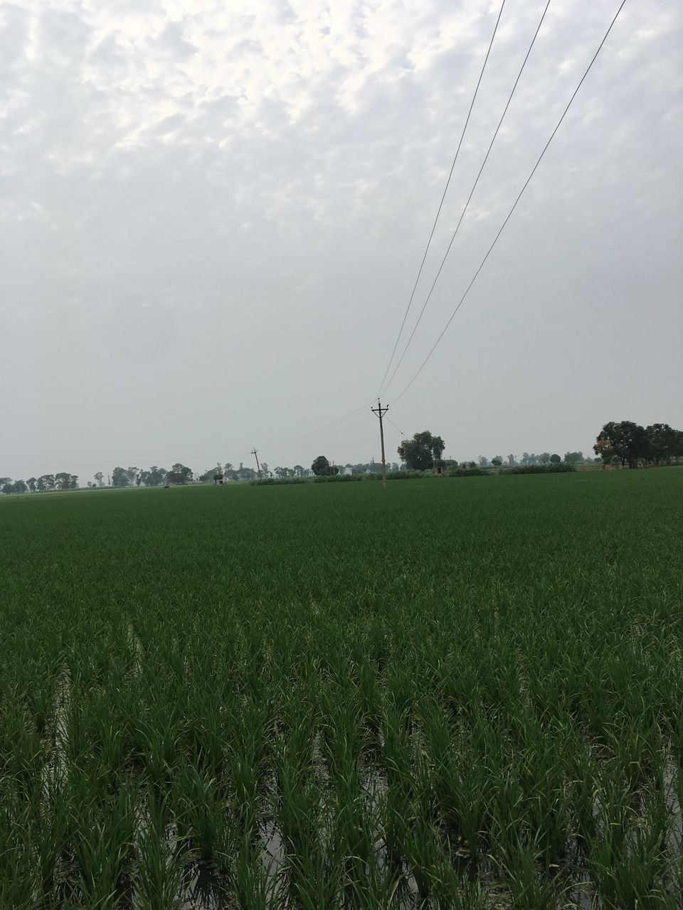 Photo of Pathankot, Punjab, India by Harjashan Preet Singh