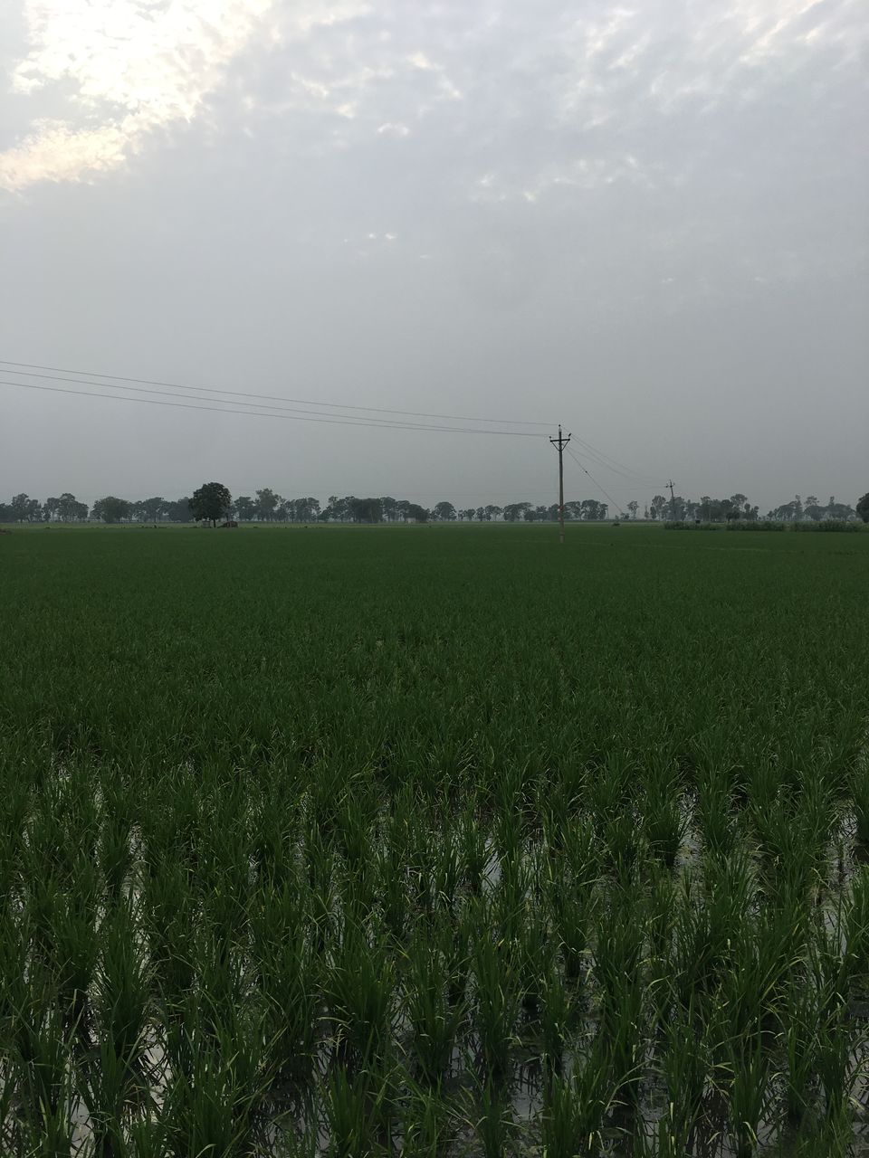 Photo of Pathankot, Punjab, India by Harjashan Preet Singh
