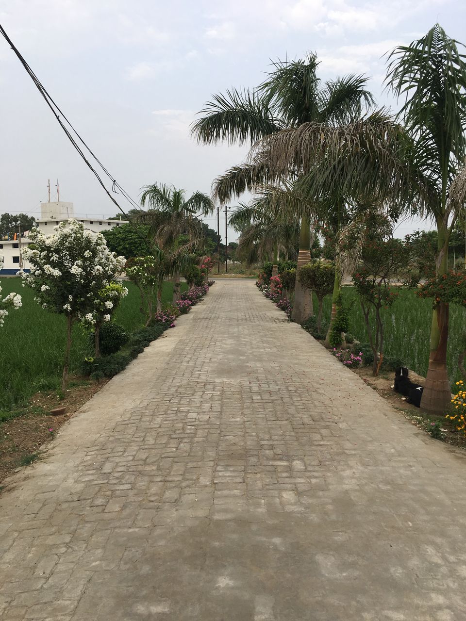 Photo of Pathankot, Punjab, India by Harjashan Preet Singh