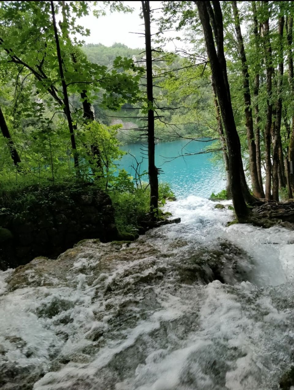 Photo of Plitvice Lakes (Plitvička Jezera), Plitvička Jezera, Croatia by Aqsa Baig