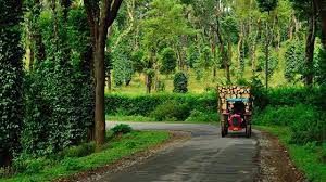 Photo of Indian Monsoon Getaways 5/15 by Rohit Prajapati (Aaric)