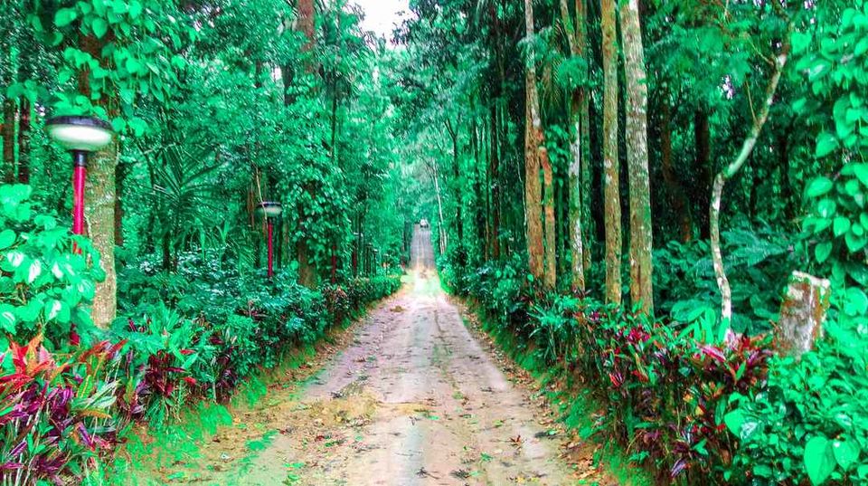 Photo of Indian Monsoon Getaways 8/15 by Rohit Prajapati (Aaric)