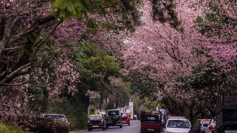 Photo of Indian Monsoon Getaways 11/15 by Rohit Prajapati (Aaric)