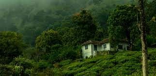 Photo of Indian Monsoon Getaways 14/15 by Rohit Prajapati (Aaric)
