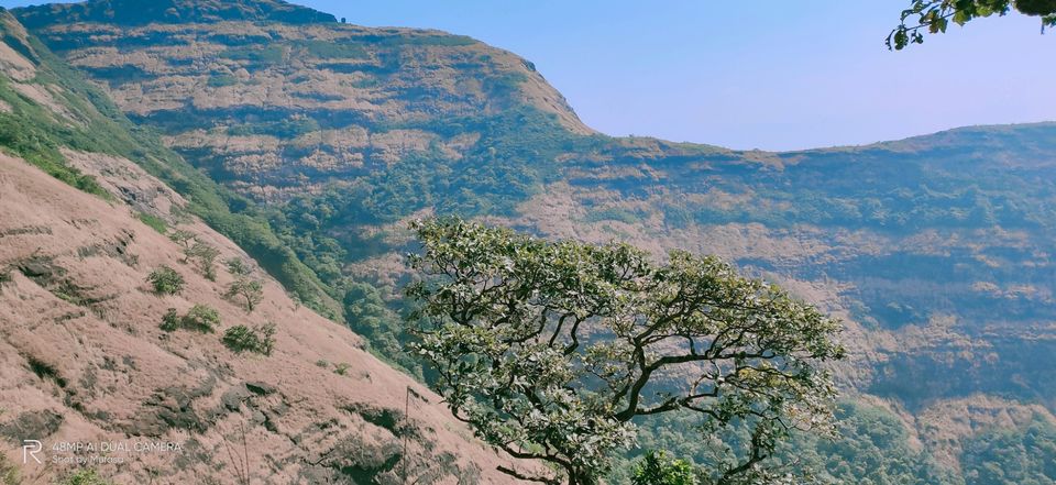 Photo of Sondai Fort by Janvi Vishaye Padiyar