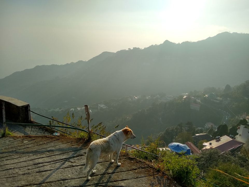 Photo of Mussoorie, Uttarakhand, India by saurav dey