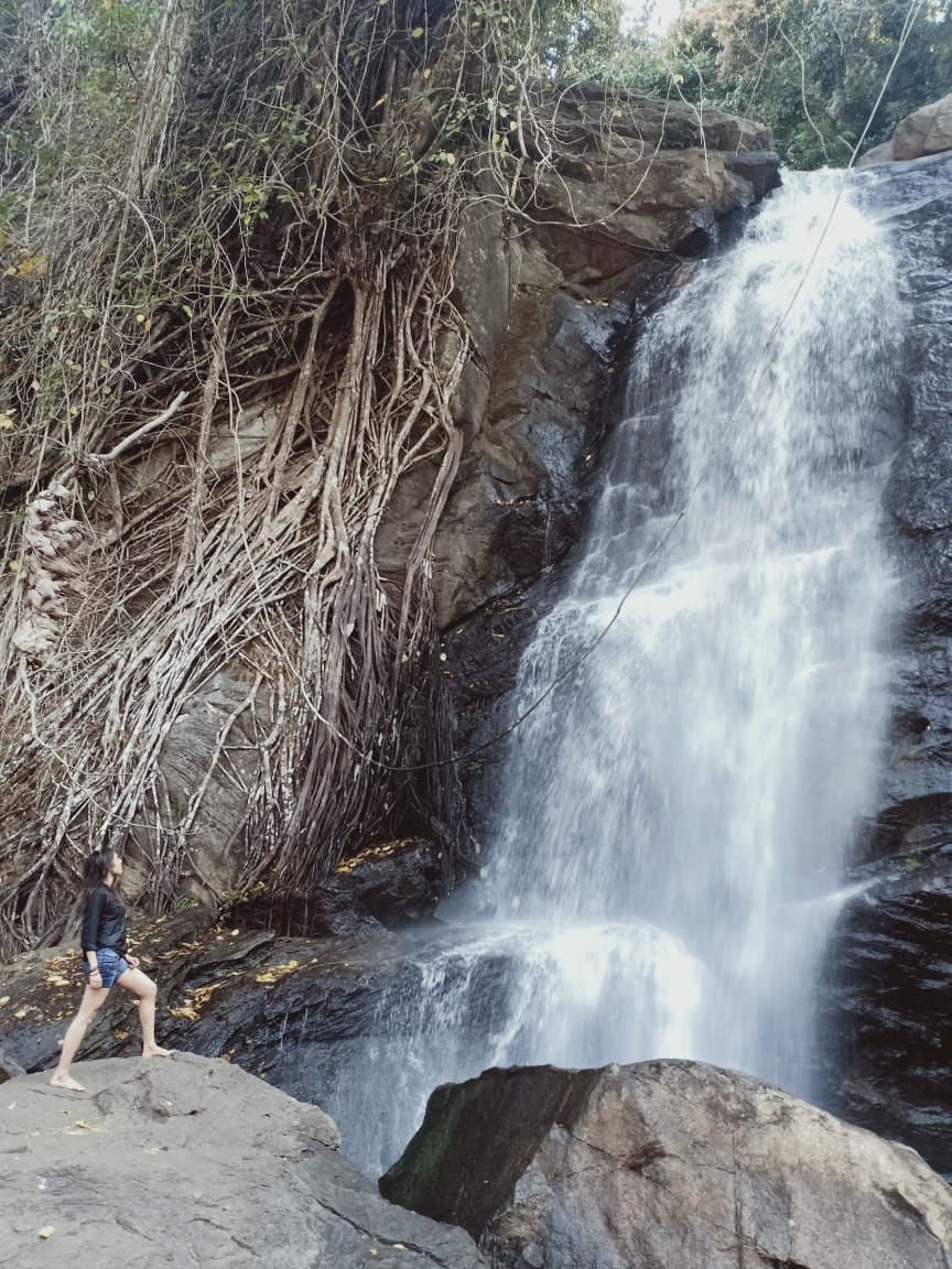 Photo of Wonder, Wander And Wayanad by Aishwarya Rao