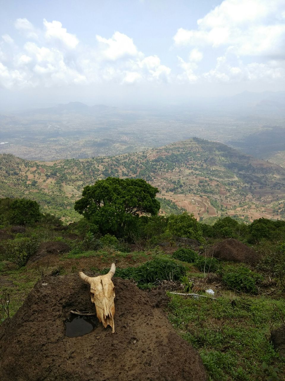 Photo of Trek to Highest peak of Maharashtra by Maharashtra Instagrammers