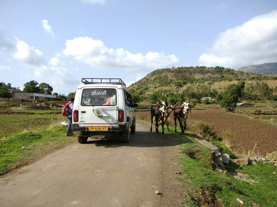 Photo of Trek to Highest peak of Maharashtra by Maharashtra Instagrammers