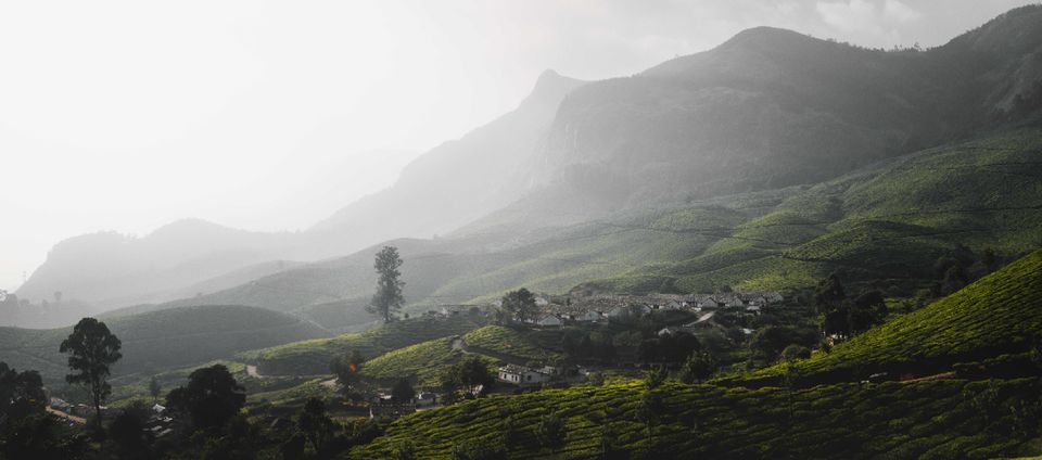Photo of Heavenly Munnar. (Hyd-Munnar) by Mathu Neeraj