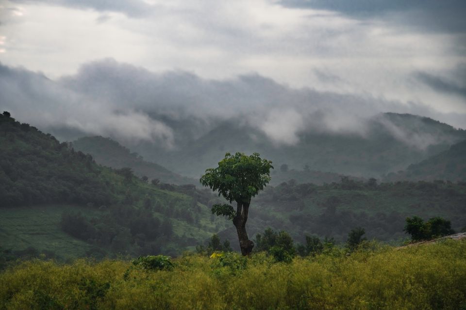 Photo of Serene Araku! (Weekend Getaway From Hyderabad) by Mathu Neeraj