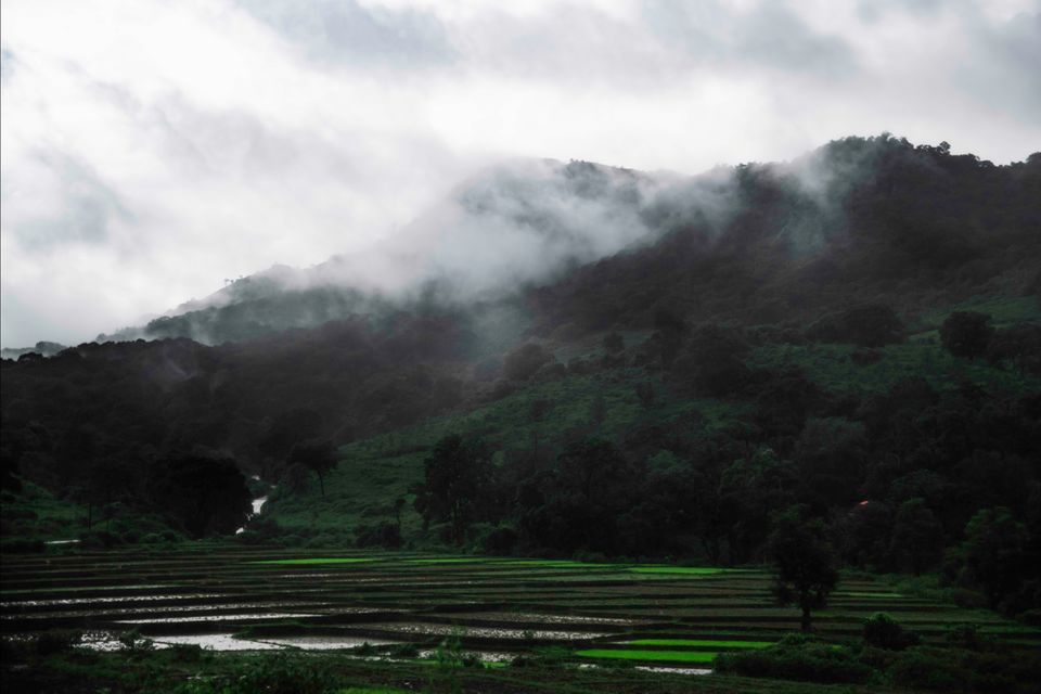 Photo of Serene Araku! (Weekend Getaway From Hyderabad) by Mathu Neeraj
