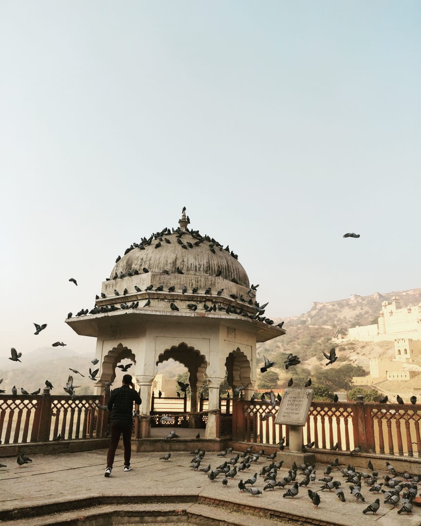 Photo of Amer Fort, Devisinghpura, Amer, Jaipur, Rajasthan, India by Mridula Bhatia