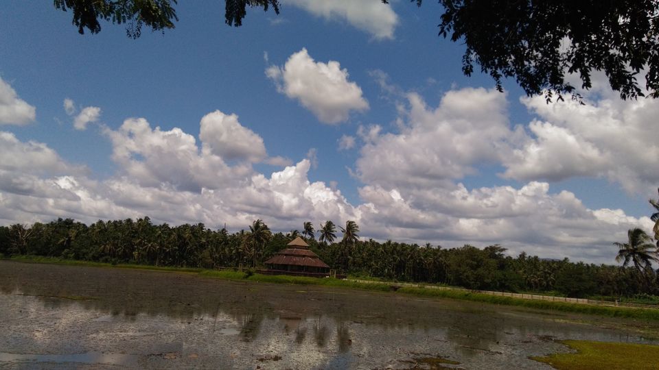 Photo of In trail of the monolithic ascetic by Angelin Mathew