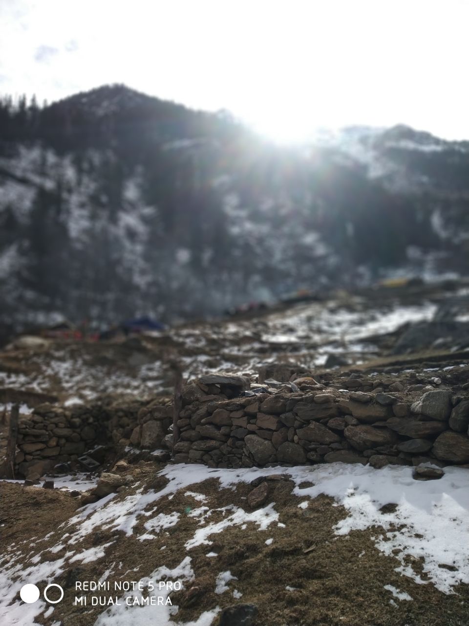 Photo of Kheer Ganga Trek, Khir Ganga, Himachal Pradesh, India by DreadGirl Wandering