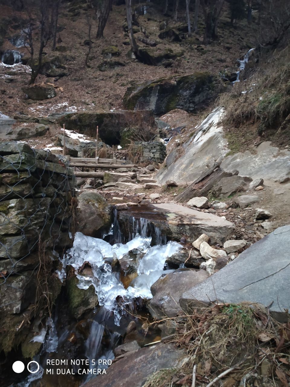 Photo of Kheer Ganga Trek, Khir Ganga, Himachal Pradesh, India by DreadGirl Wandering