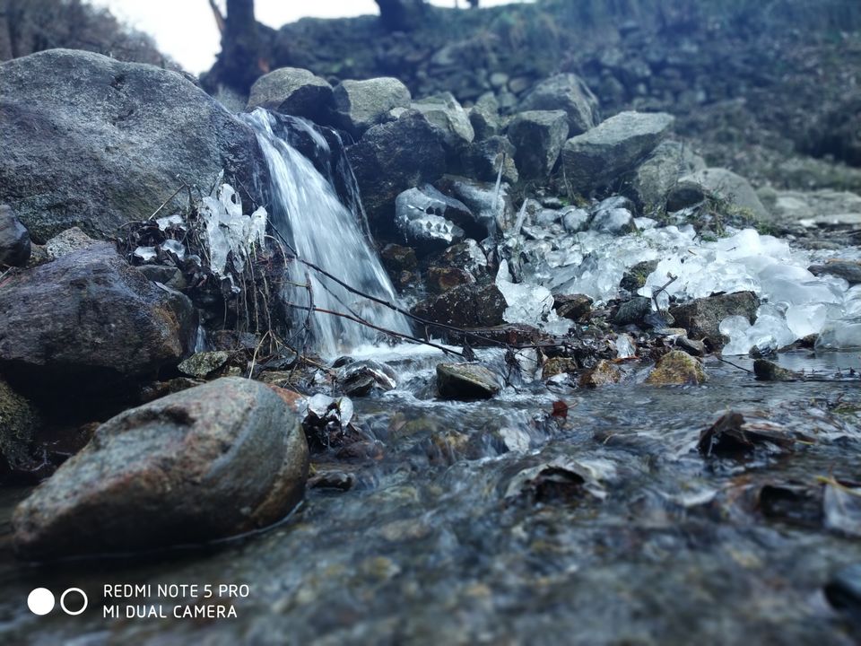 Photo of Kheer Ganga Trek, Khir Ganga, Himachal Pradesh, India by DreadGirl Wandering