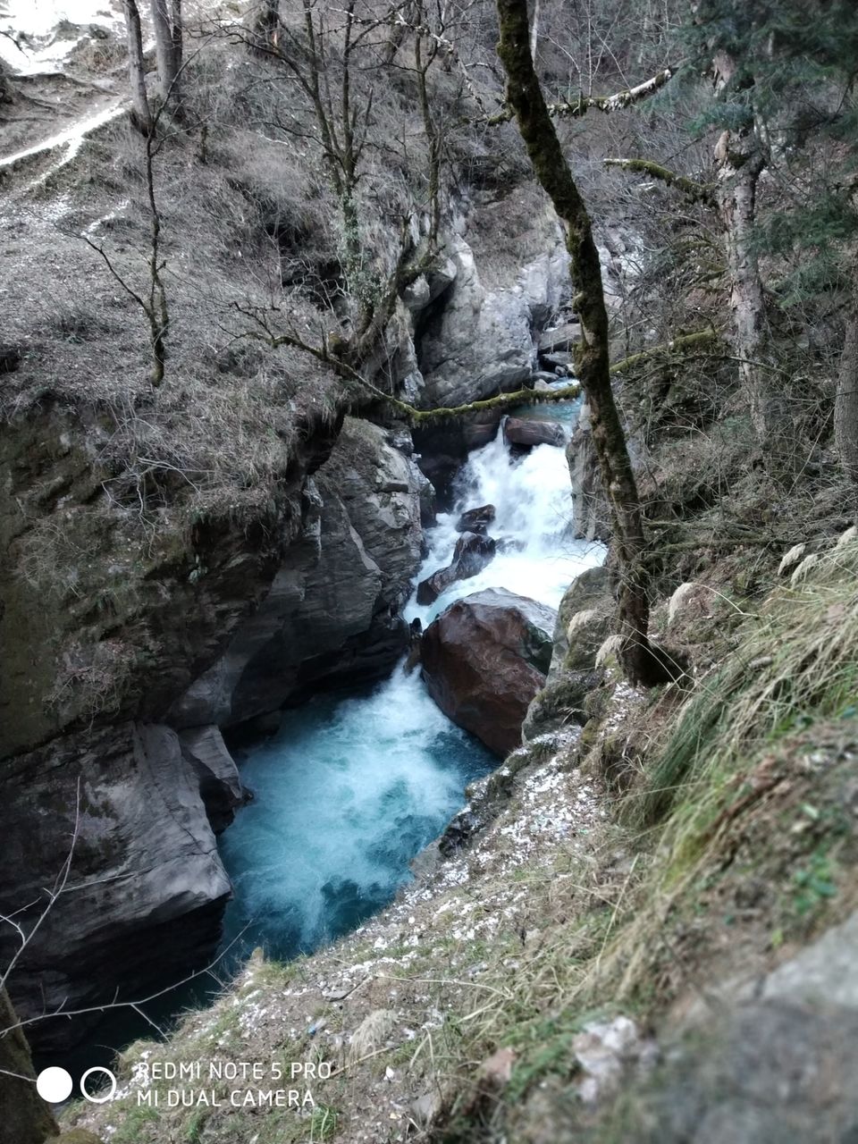 Photo of Kheer Ganga Trek, Khir Ganga, Himachal Pradesh, India by DreadGirl Wandering