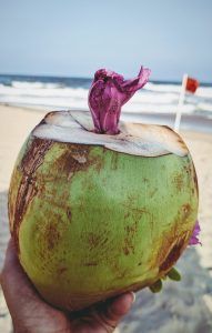 Photo of A blissful 3 day getaway to Pondicherry by Bhagyashri