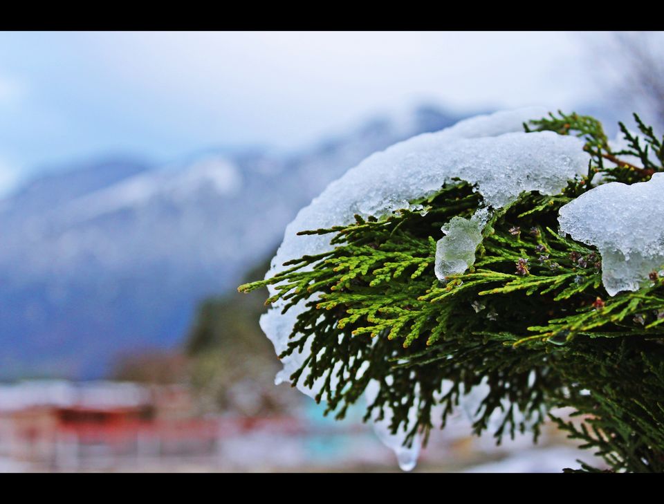 Photo of Naddi Village, Upper Dharamsala by Vibhor Yadav
