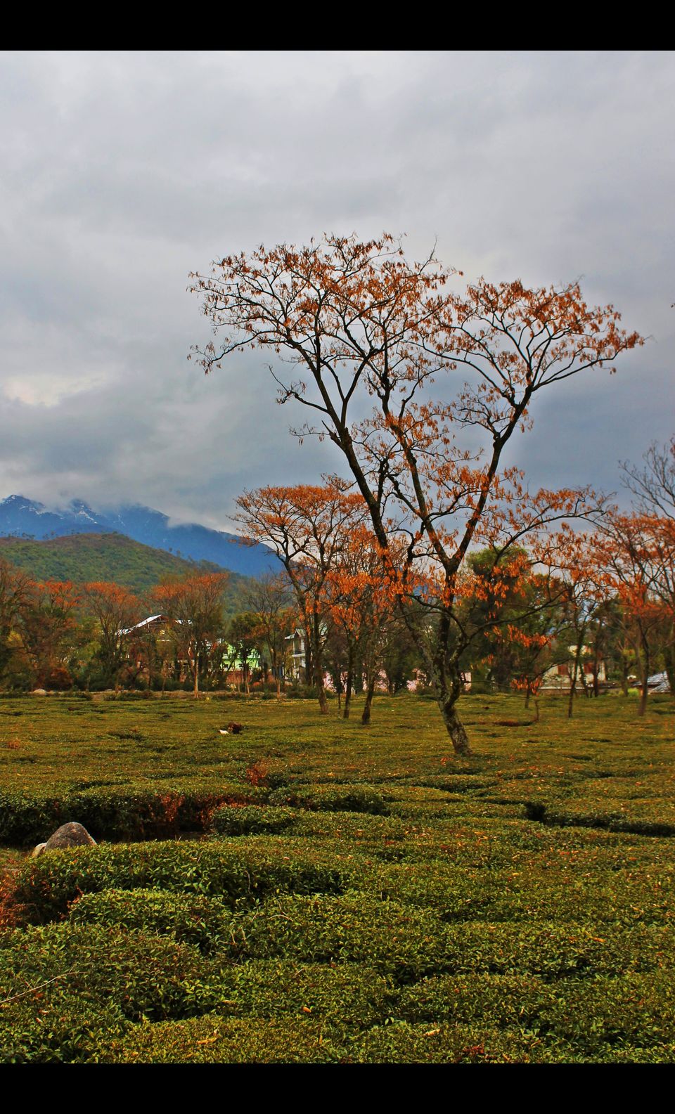 Photo of Naddi Village, Upper Dharamsala by Vibhor Yadav