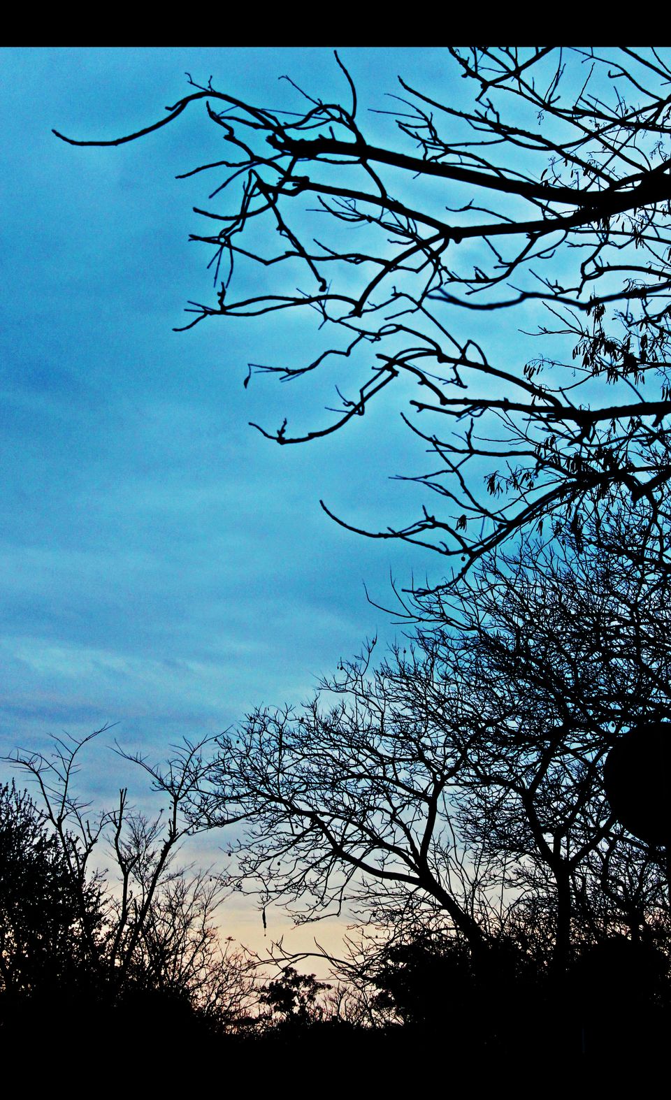 Photo of Naddi Village, Upper Dharamsala by Vibhor Yadav