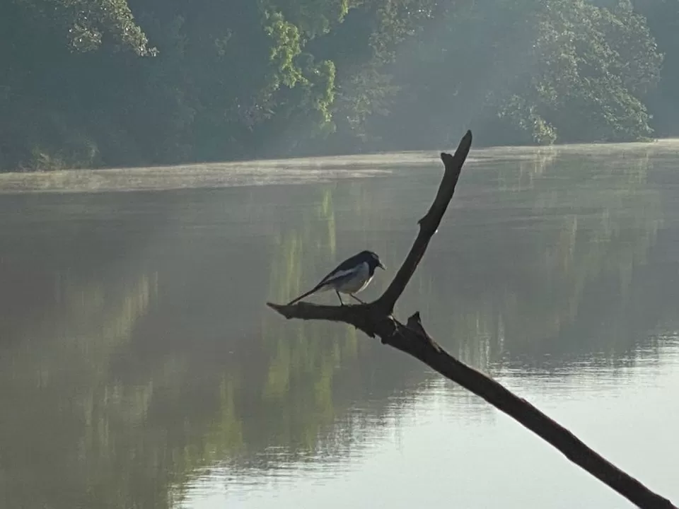 Photo of A rejuvenating trip to Jalsrushti Island Resort near Pune by Divisha - The Diadeb