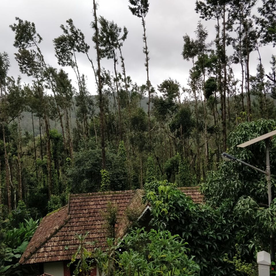 Photo of Chikamagalur - Mini vacay away from the melancholy by Divisha - The Diadeb