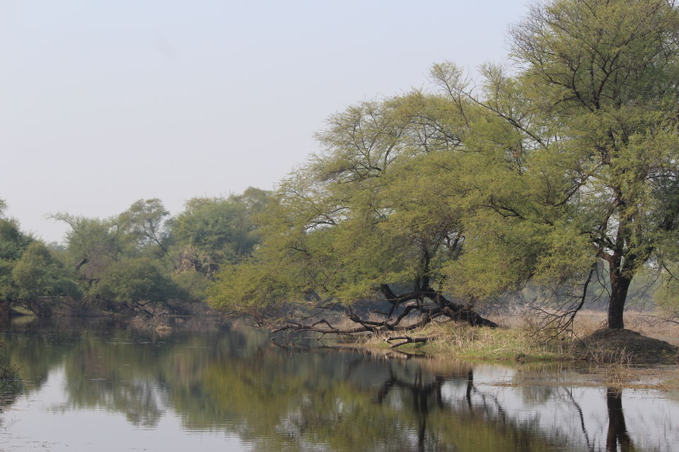 Photo of A 2.5 day power-packed trip on the borders of Gurgaon, Delhi, UP, Rajasthan by Divisha - The Diadeb