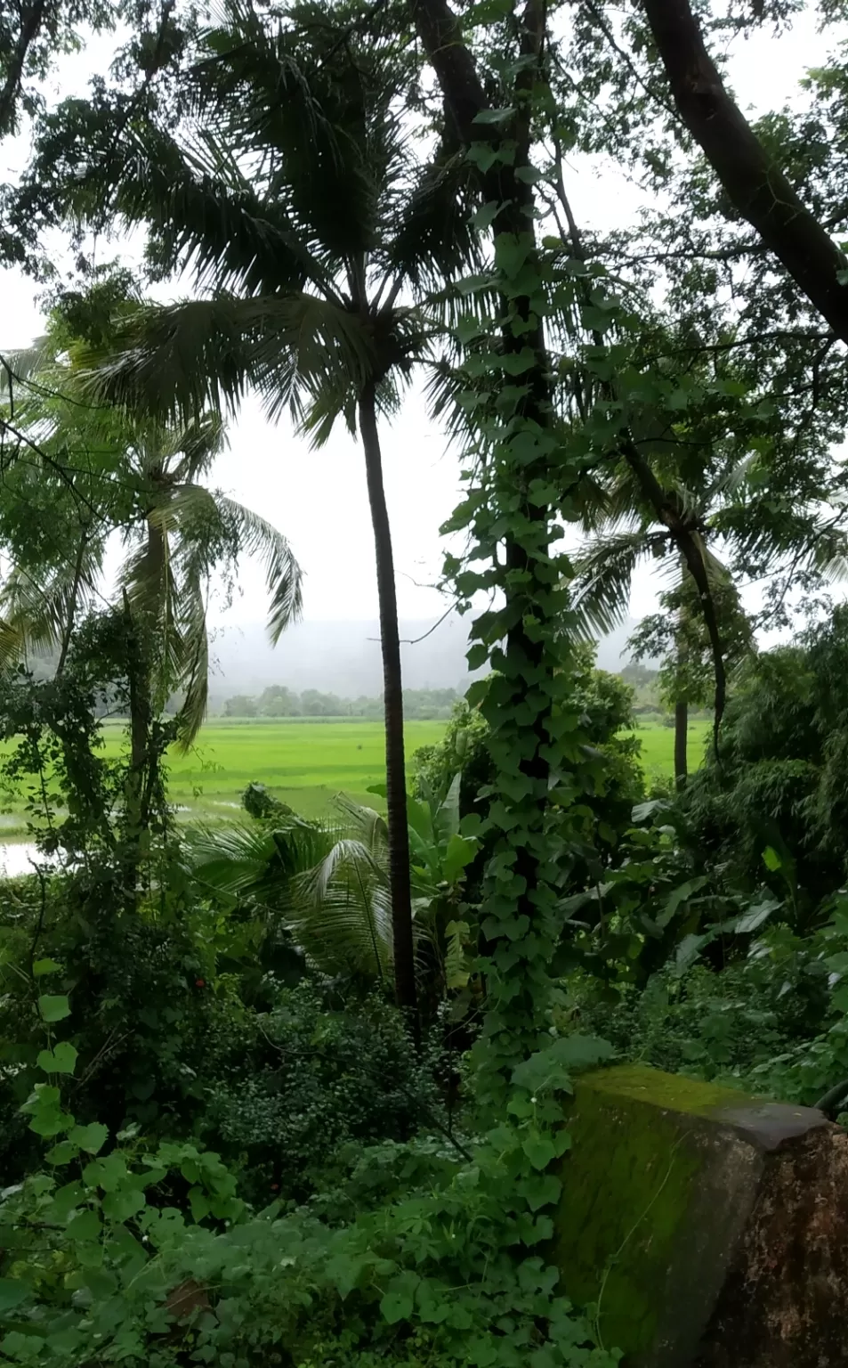 Photo of Malvan, Maharashtra, India by Nirmal Gandhi