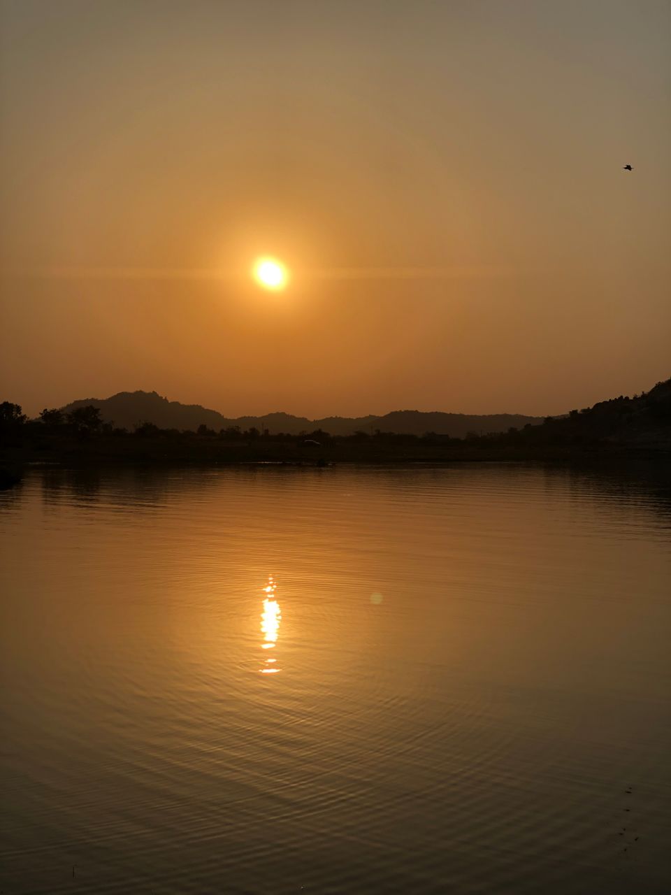 Photo of Jogulamba Temple, Gadwal, Telangana, India by Shiva Prasad