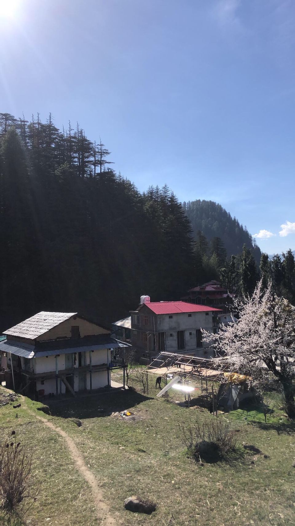 Photo of Most underrated village in himachal pradesh!! 14/17 by Rishabh Ratnakar