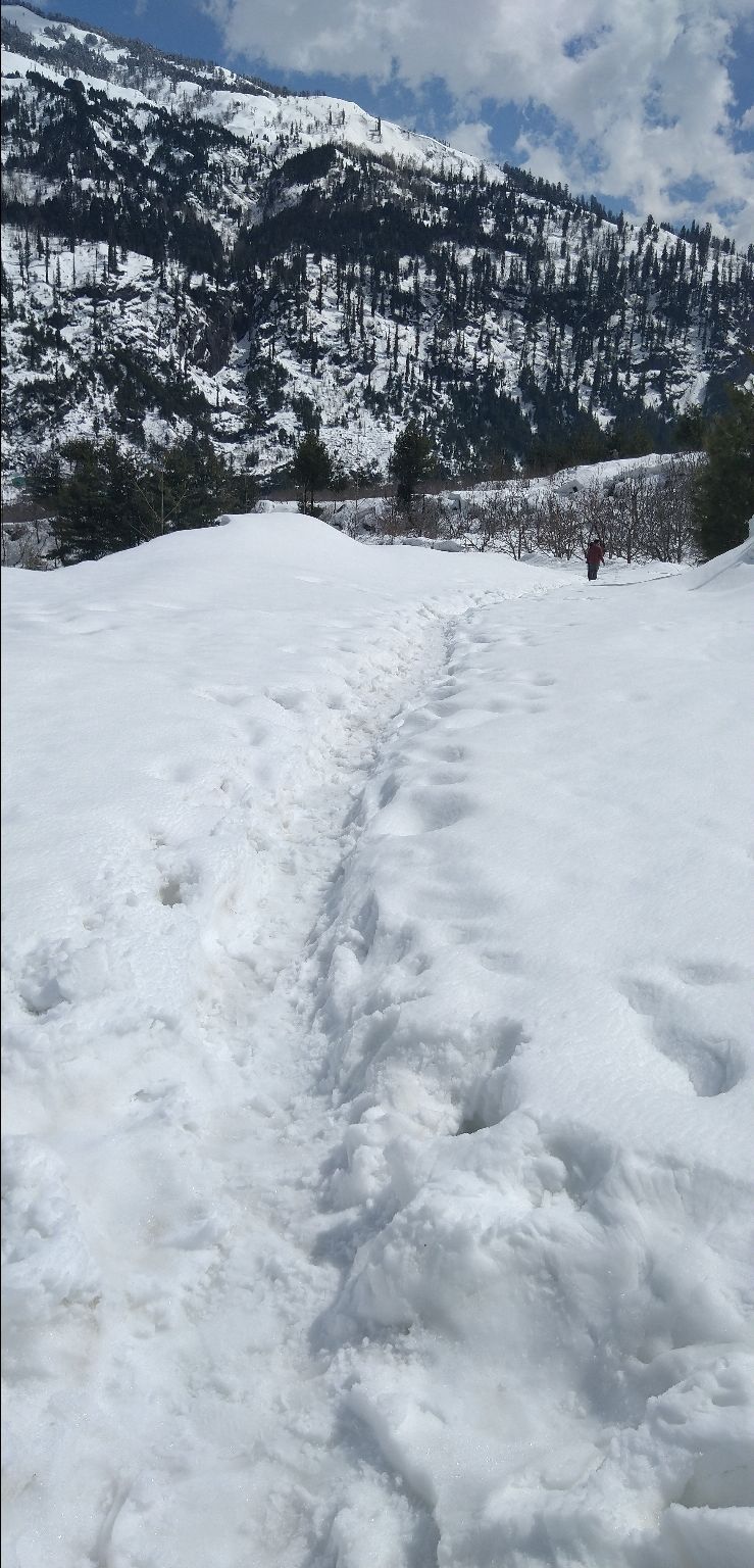 Photo of Manali, Himachal Pradesh, India by Yash Verma