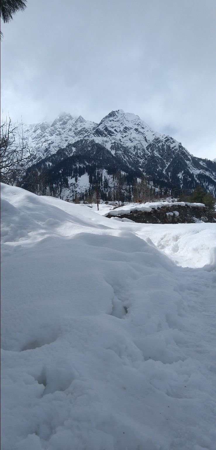 Photo of Manali, Himachal Pradesh, India by Yash Verma