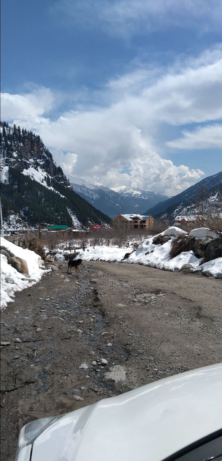 Photo of Manali, Himachal Pradesh, India by Yash Verma