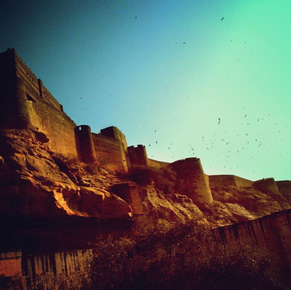 Photo of Thar Oasis Desert Camp, Sukhmandla, Rajasthan, India by Amit Swaroop