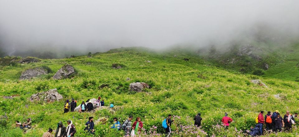 Photo of Valley Of Flowers, Uttarkashi, Uttarakhand, India by Vivek XR