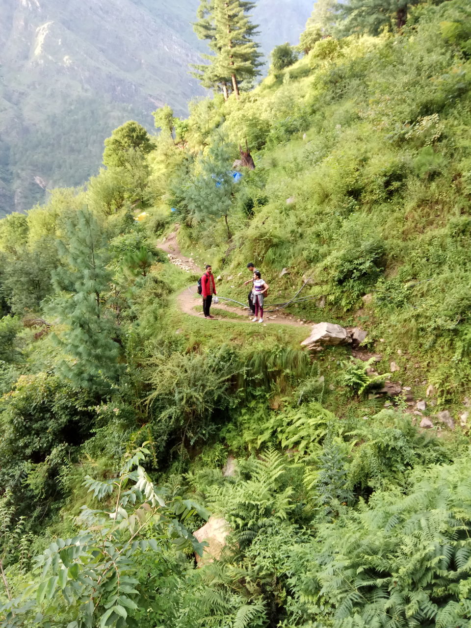 Photo of Chhoie Waterfall, Sharchi, Himachal Pradesh, India by The Wolf Girl